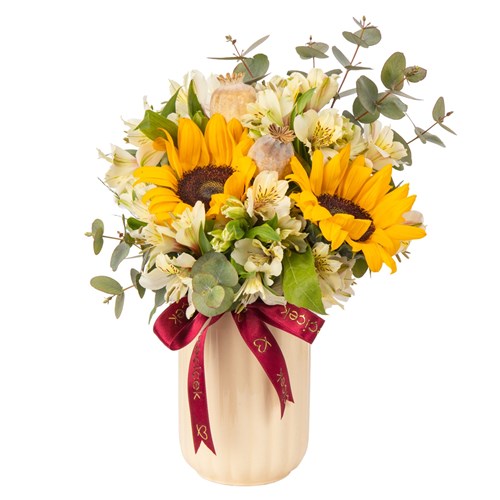Golden Bloom Astomeryalar