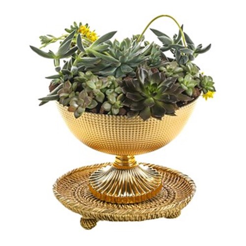 Golden Goblet Garden