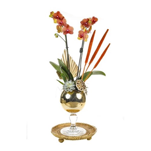 Golden Orchid Mood