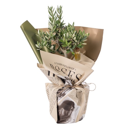 Golden Roots Zeytin Ağacı