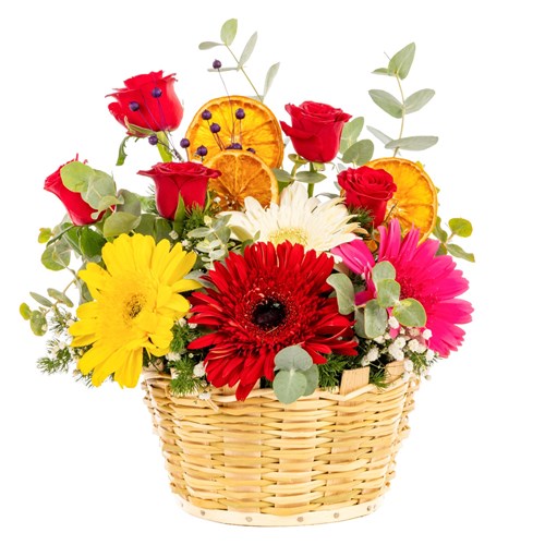 Good Vibes Only Gerbera Sepeti
