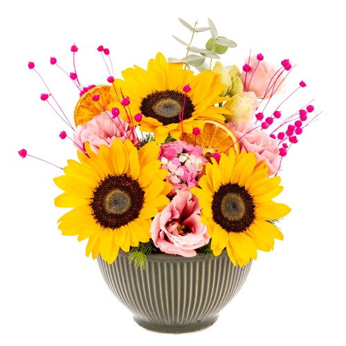 Happy Mood Bowl Ayçiçeği