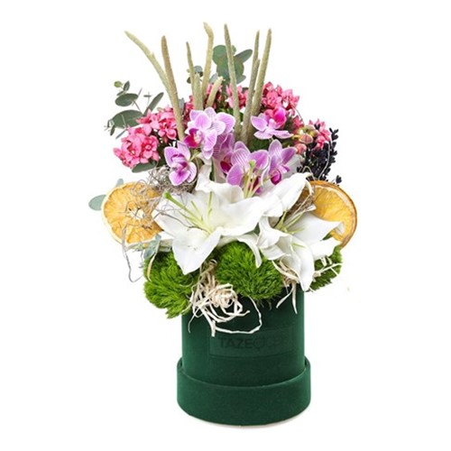Harmony Of Lilies