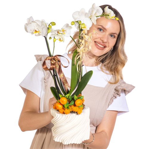 Hazel Swirl Seramikte Orkide
