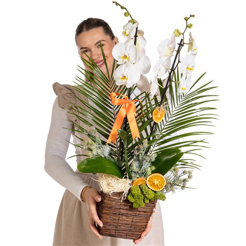 Heavenly White Orchid Prestige Arrangement