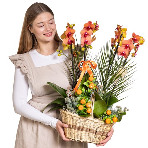 Imperial Bloom Luxury Orkide