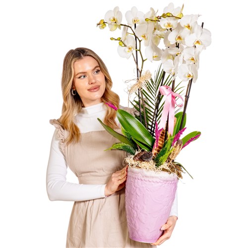 Imperial White Orchid Deluxe Collection