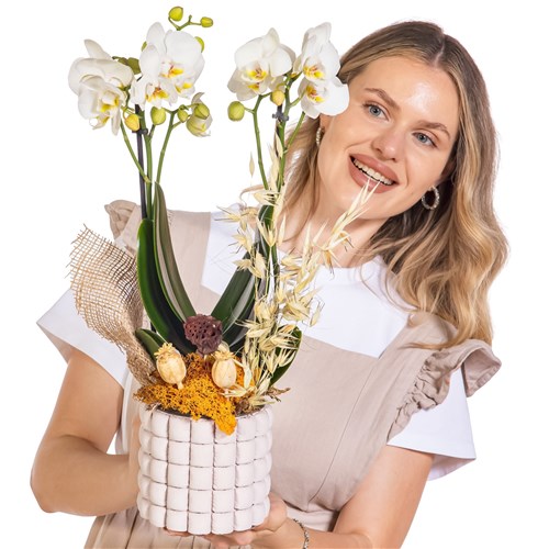 Ivory Touch Seramikte Orkide