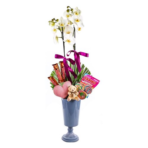 Jelly Bean Orchid
