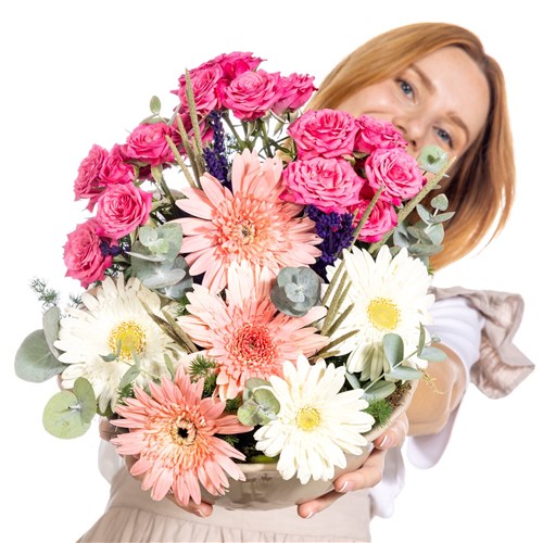 Joyful Harmony Gerbera Kasesi