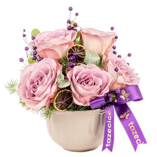Lavender Dream Lila Güller