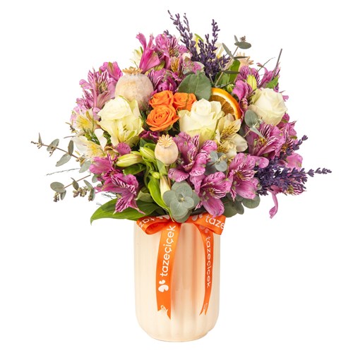 Lavender Rose Dream Astomeryalar