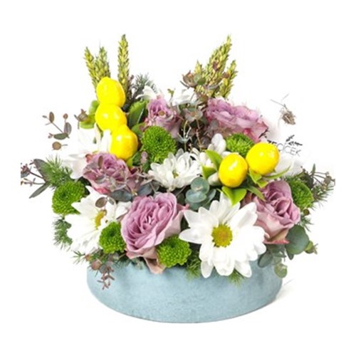 Lemon Daisy