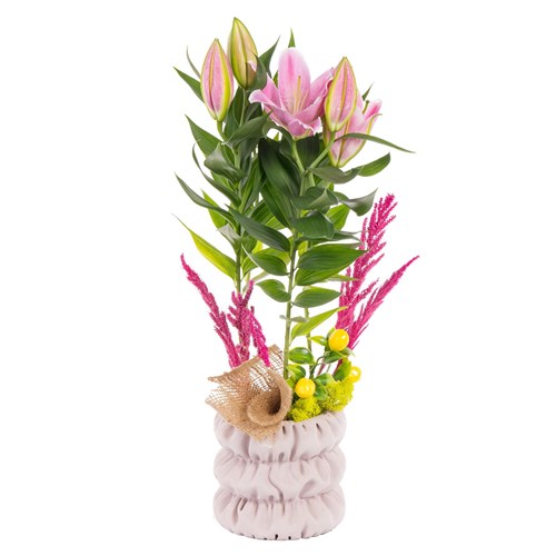 Lemon Pink Lilyum Aranjmanı