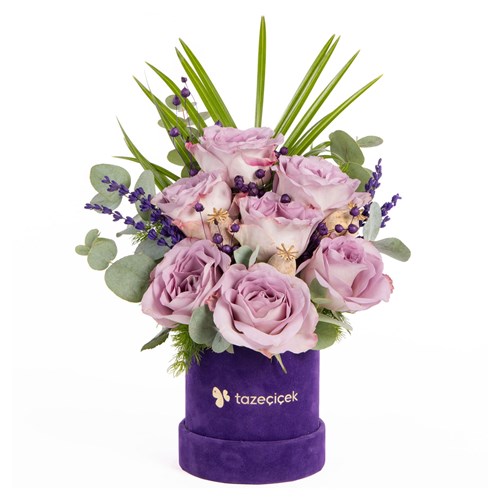 Lilac Serenade Kutuda Lila Güller