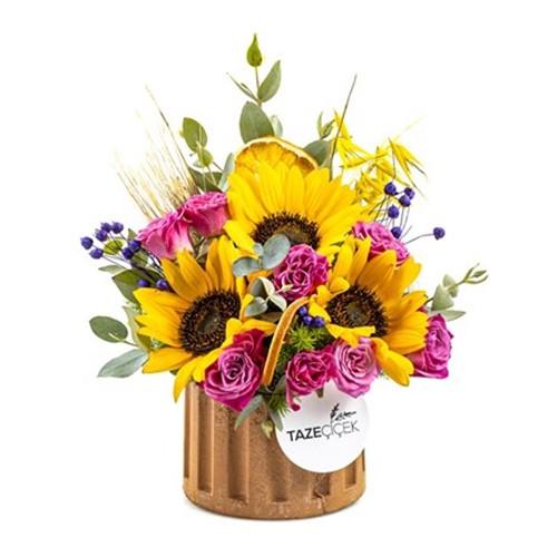 Live Flowers