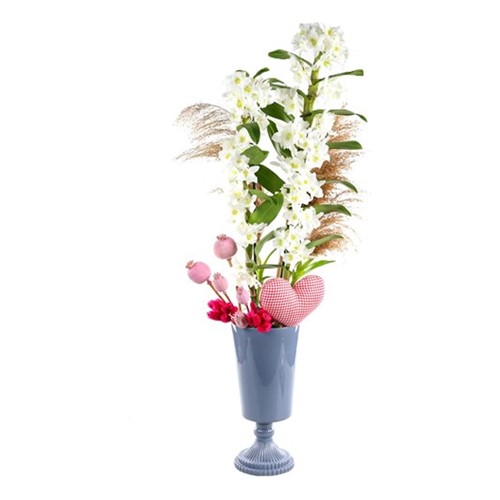 Love Dendrobium