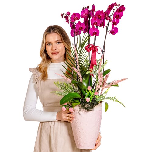 Love Statement Orchid Luxury Design