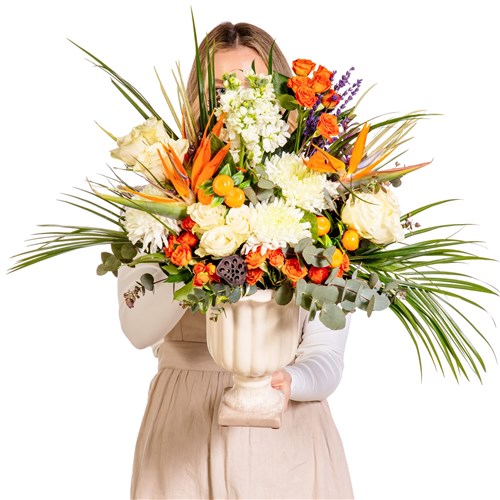 Luxury Citrus Garden Modern Aranjman