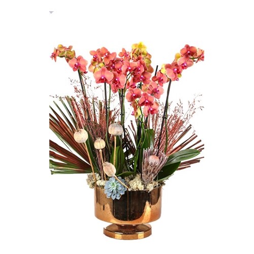 Luxury Orange Orchid Gold Vase