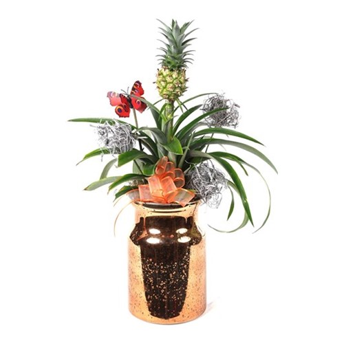 Luxury Pineapple