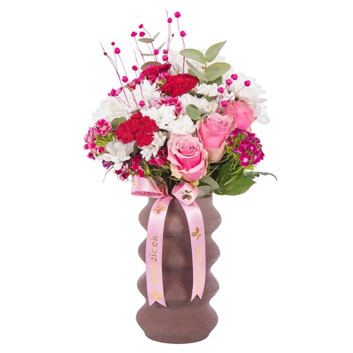 Magenta Harmony Papatyalar