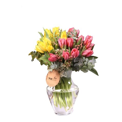 Magical Tulips - Lale