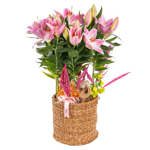 Majestic Aura Premium Lilyum Sepeti