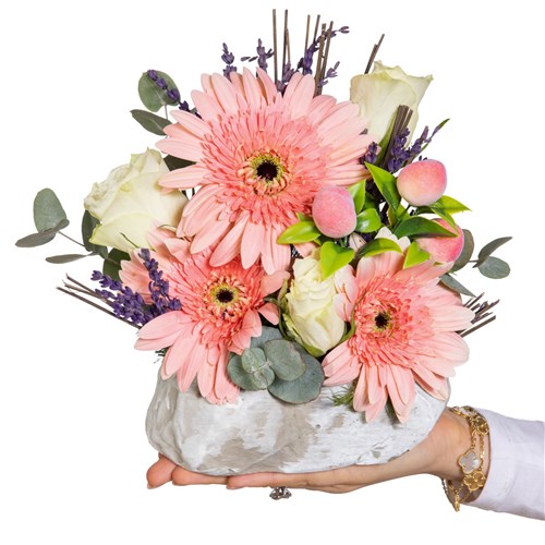 Mini Coral Dream Gerbera Aranjmanı