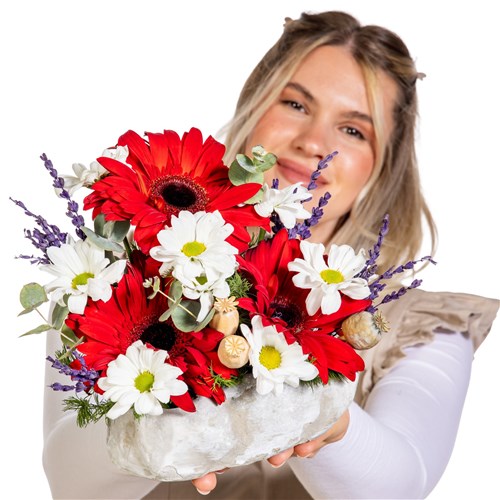 Mini Ruby Gerbera Papatya