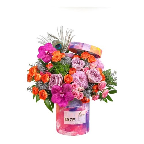 Mixed Color Box