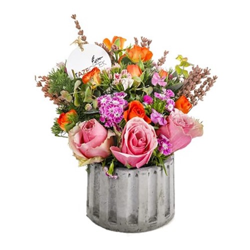 Mixed+Press+Seasonal+Flowers