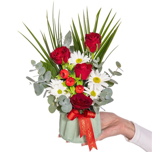 Modern Passion Papatya & Gül Aranjmanı