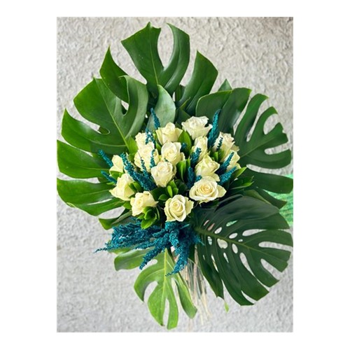 Monstera Of White Rose