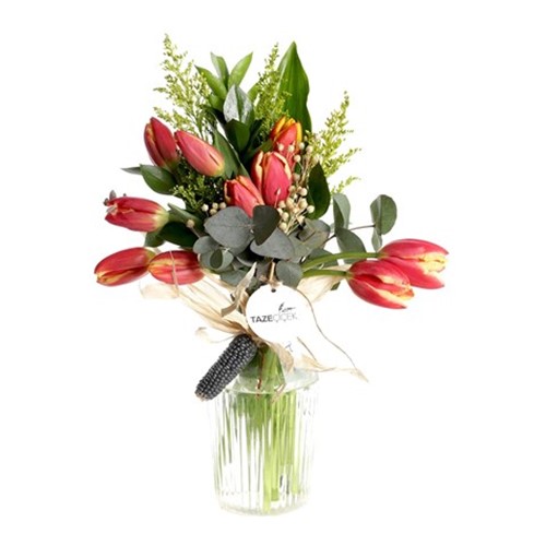 My Dream Sweet Tulip