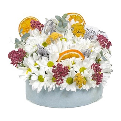 Natural Daisy Sunlight Papatya