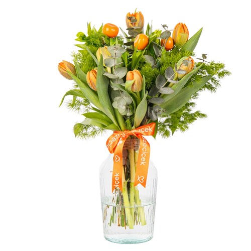 Natural Orange Laleler