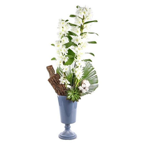 Nature Breeze White Dendrobium