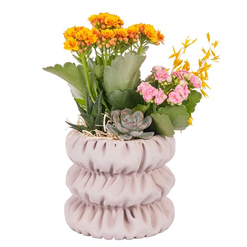 Naturel Bloom Kalanşo Aranjmanı