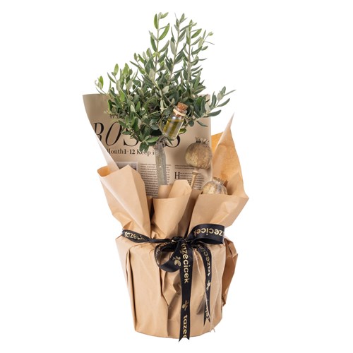 Olive Whisper Zeytin Ağacı