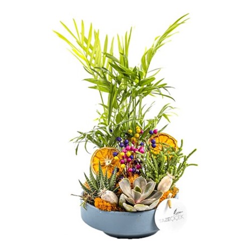 Orange Botanical