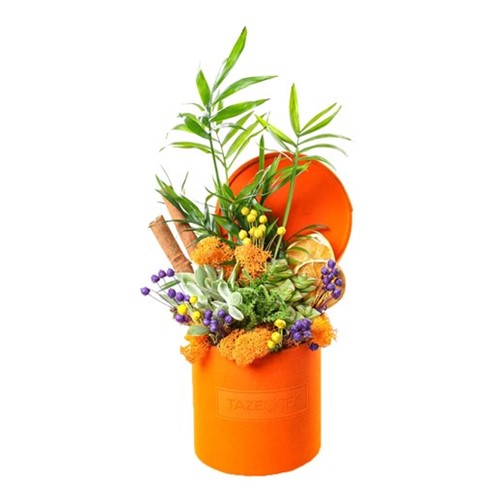 Orange Calm Garden
