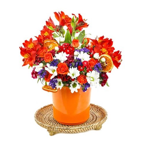 Orange Colorful