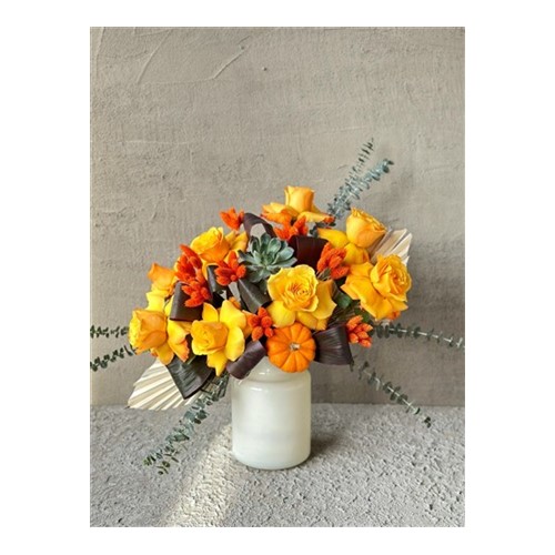 Orange Elegance
