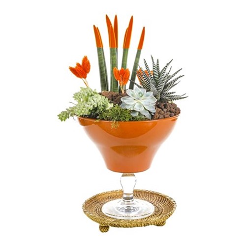Orange Luxury Garden