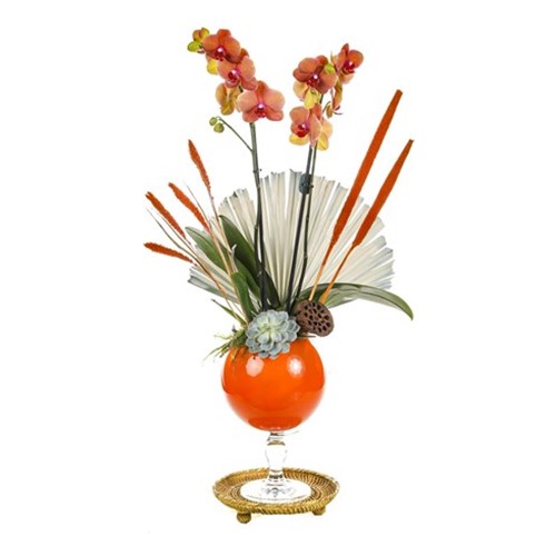 Orange Luxury Orchid