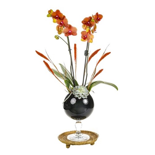 Orange Orchid İn Glass