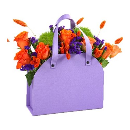 Orange Purple Bag