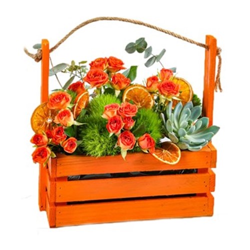 Orange Rose Garden