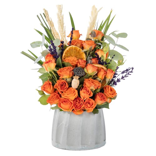 Orange Sunset Roses Güller